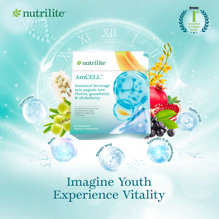 AmCell_HPMobileBanner_202601_EN