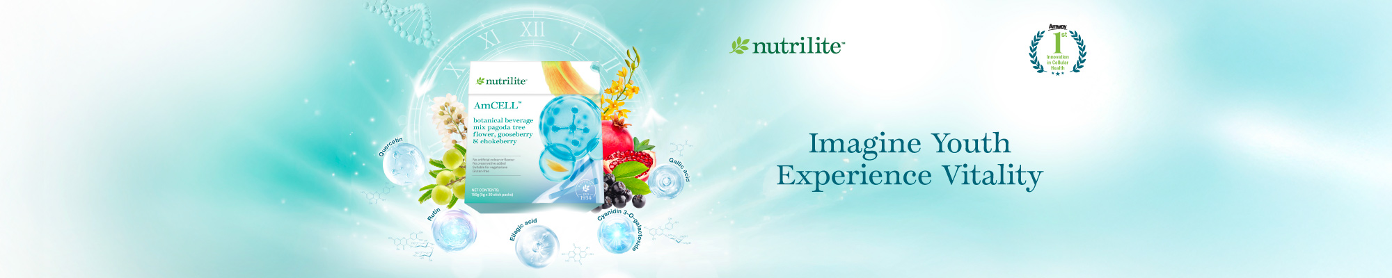 AmCell_HPBanner_202601_EN