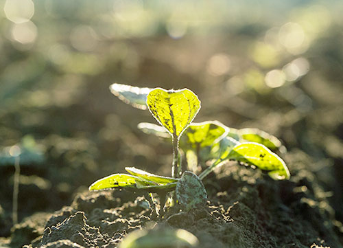 Our Commitment To A Greener Future Our Commitment To A Greener Future