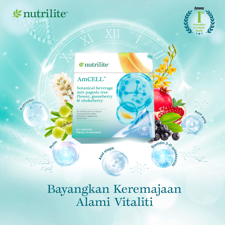 AmCell_HPMobileBanner_202601_BM 